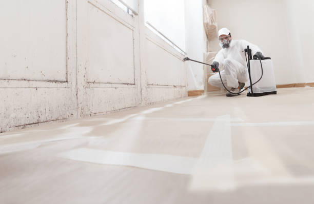 24/7 Emergency Mold Testing experts in Long Branch, NJ